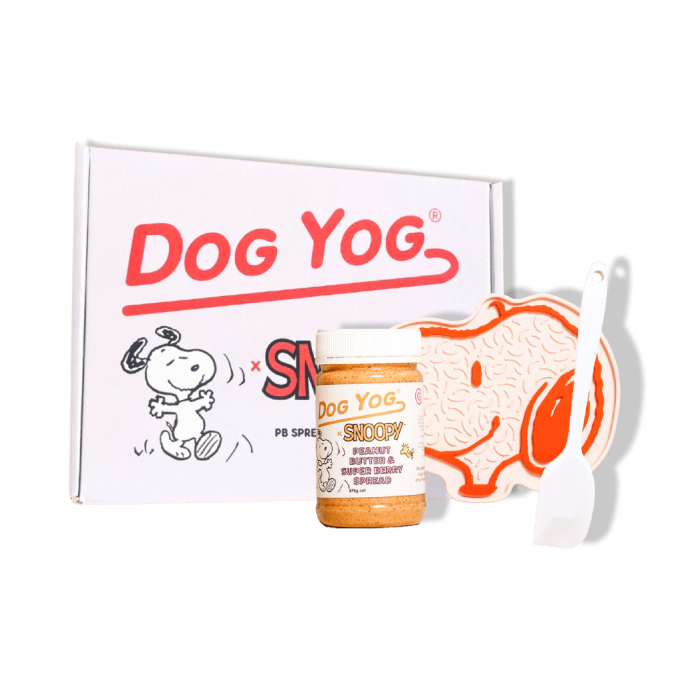 Snoopy Gift Box