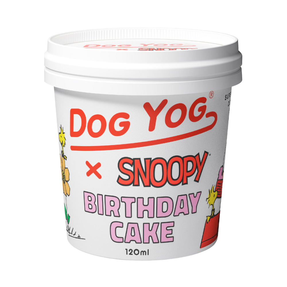 Snoopy - Birthday Cake