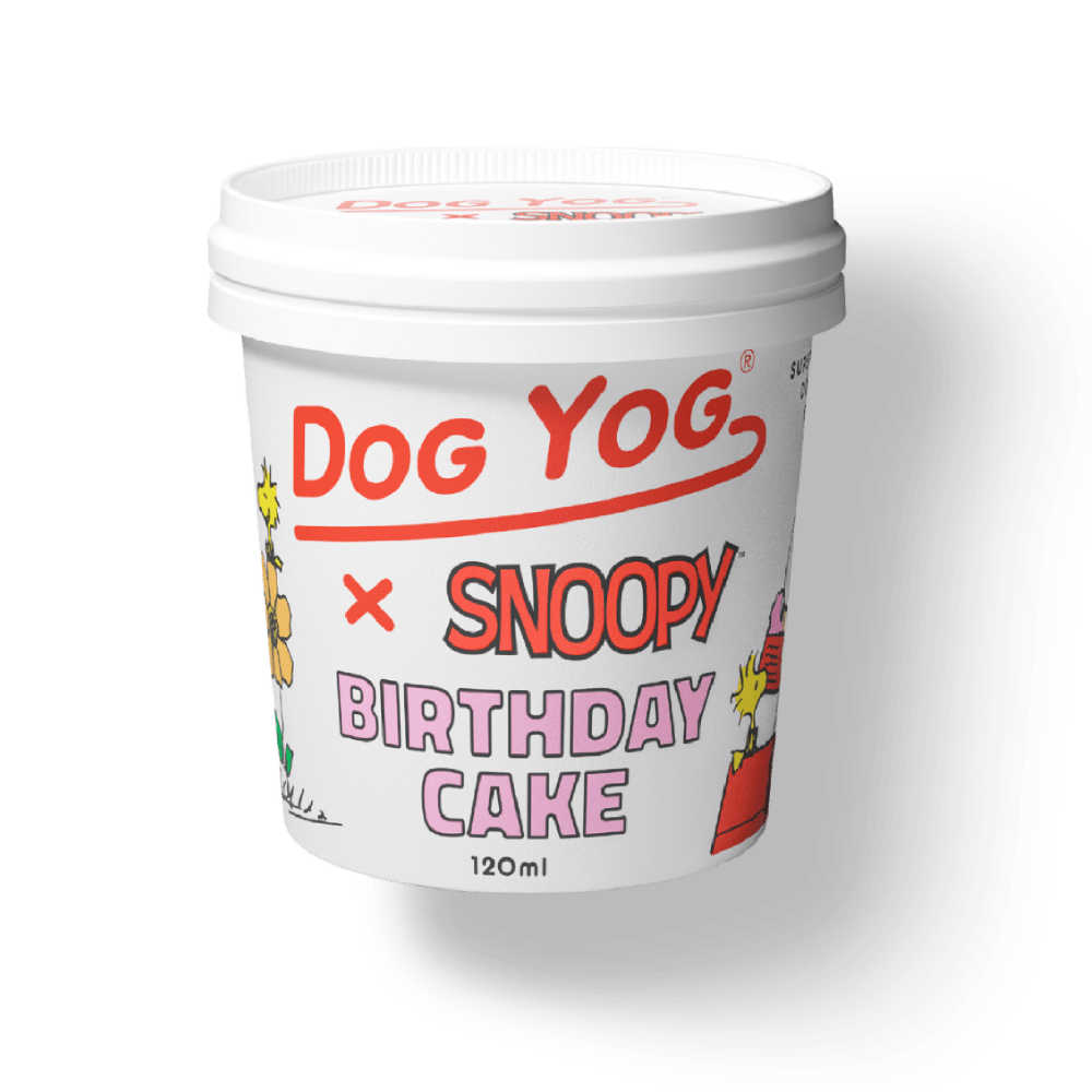 Snoopy - Birthday Cake