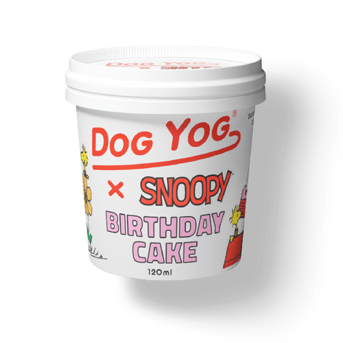 Snoopy - Birthday Cake